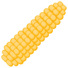 
A corn cob giving the concept of vegetable and agriculture ripe harvest 
