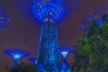 Fictional evening landscape illuminated in blue tones at Gardens by the Bay Singapore