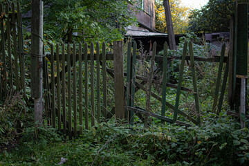 Old russian rickety wooden fence made of narrow boards in front of village house among green trees and dense grass.