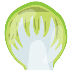 
A greenish vegetable in berg shape mainly used for salad preparation and  cooking also 
