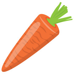 
A red long vegetable with small leaf, carrot. 
