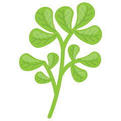 
A soft green nutritious vegetable with slight bitter taste characterizing fenugreek 
