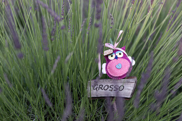 Lavender Owl.  © Aleksander