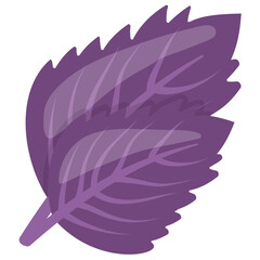 
Purple colored leafy herb is a baby mustard vegetable used in cooking meals for adding taste 
