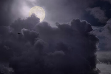 Naklejka na ściany i meble Overcast full moon night