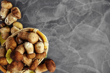  Autumn Cep Mushrooms. Ceps Boletus edulis over Wooden Dark Background, close up on wood rustic table. Cooking delicious organic mushroom. Gourmet food