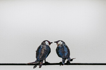 Sculpture décorative pour la maison avec un couple d'oiseaux sur une branche © PicsArt