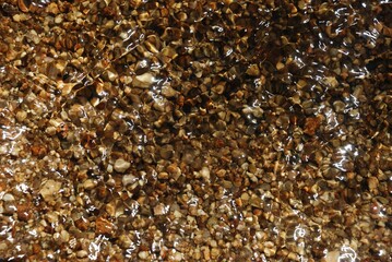 gravel background in a river