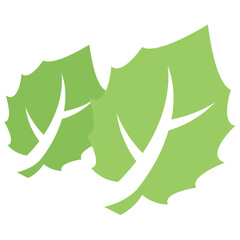 
Two common leaves placed together as two components to show bipartite leaf concept 
