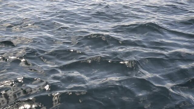 Sea waves bleu background texture