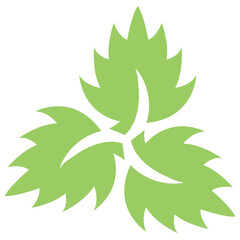 
Oak leaves placed decoratively in a structure making cube, this is swirl leaves icon
