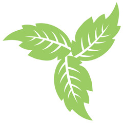 
Oak leaves placed decoratively in a structure making cube, this is swirl leaves icon
