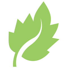 
Spirally arranged patterns enriched leaf is oak leaf 
