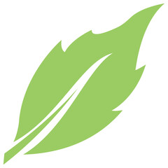 
Compound leaves with blades and veins denoting fir leaf 
