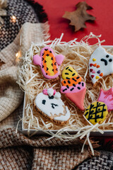 Halloween concept with cookies on colorful background