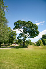 Part from Oslo Norway's capitol