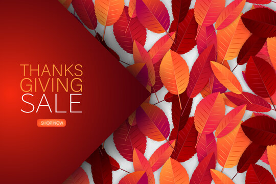 Happy Thanksgiving Day sale poster.  Background with red and orange fall leaves. American traditional november holiday. Banner for advertisement, promotion, invitation. Vector illustration.