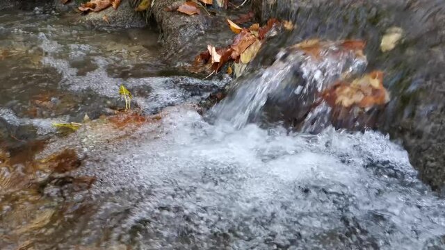 Water flows in the forest with fallen autumn leaves. Natural background of late autumn or early spring. The concept of relaxation and relaxation. Alone with nature. The purest clear water.
