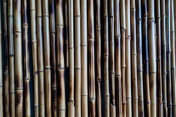 The texture of the bamboo structure in the form of a fence