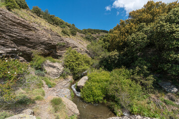 Water flowing down a ravine in the Sierra Nevada