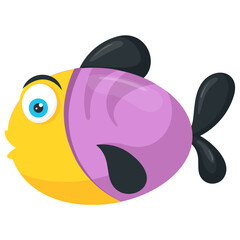 Obraz premium A multi color singaporean fish lives in freshwater called rainbow fish 