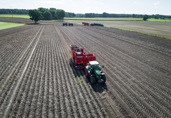 Obraz premium Luftbild von der Kartoffelernte mit moderner Landtechnik, Ernteszene