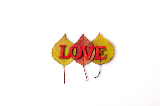 AuAutumn composition. Autumn leaves on white background. The word love lies on the leaves. Flat lay, top view, copy space for text. Isolated.tumn composition. Autumn leaves on white background. The
