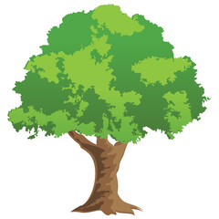 
Chestnut tree, spreading trees flat icon
