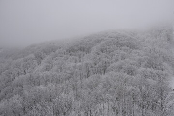 Obraz na płótnie Canvas 冬の蔵王。山形、日本。2月中旬。