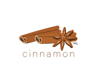Two cinnamon sticks and star anise. Vector illustration isolated on white background.