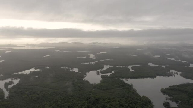 Cubatão, mangrove in Cubatao, Sao Paulo, Brazil, seen from above, water rationing, water resources, drone images