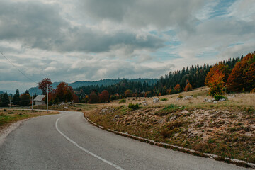 Asphalt highway in colorful autumn forest and overcast sky