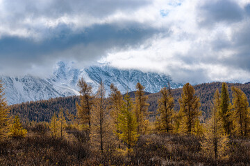 panoramic view of picturesque huge mountains with autumn forest 