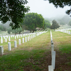 Fototapeta na wymiar american cemetery