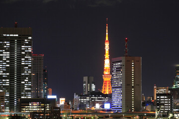 Fototapeta na wymiar 船と東京タワー夜景