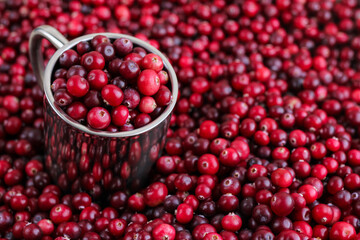 Ripe fresh cranberries with stainless steel mug as natural, food, berries background. Selective focus.