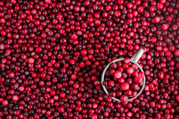 Ripe fresh cranberries with stainless steel mug as natural, food, berries background. Selective focus.