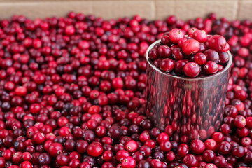 Ripe fresh cranberries with stainless steel mug as natural, food, berries background. Selective focus.