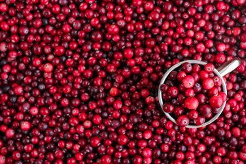 Ripe fresh cranberries with stainless steel mug as natural, food, berries background. Selective focus.
