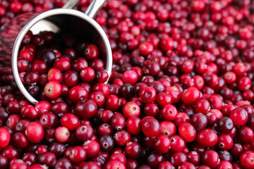 Ripe fresh cranberries with stainless steel mug as natural, food, berries background. Selective focus.