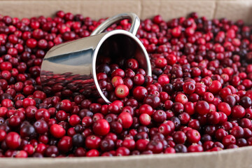Ripe fresh cranberries with stainless steel mug as natural, food, berries background. Selective focus.