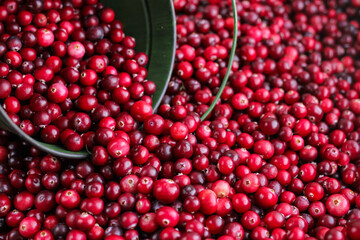 red pomegranate seeds