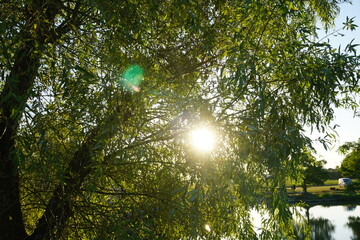 秋の公園の散歩