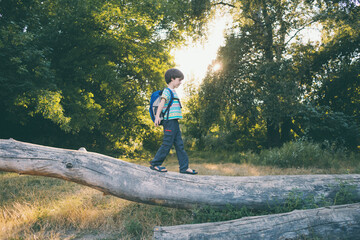 A boy with a backpack walks along the trunk of a fallen tree, a child learns to keep his balance