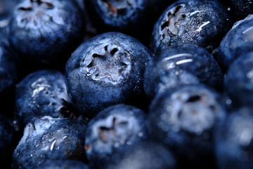 Close up of fresh blue berry with water drops .