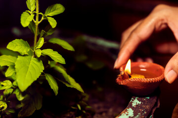 Hindu Religious Rituals. Woman or female hand holding diya and giving or putting it near sacred tulsi or basil plant. Background for Hindu ritual, belief, ritualistic worship, offering, culture.