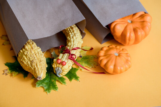 Beautiful Autumn Dark Still Life Photography With Assorted Colorful Small Pumpkins In Paper Craft Package,Healthy Nutrition, Beautiful Bright Yellow Autumn. Greeting Card.