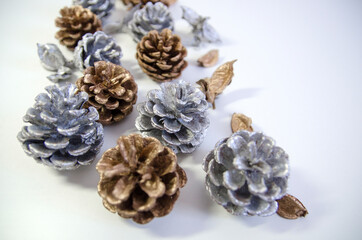 pine cones