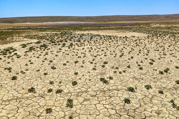 Panorama of desert landscape with dried ground & plants growing through cracks in hard conditions. Shot in mud volcanic valley (Bulganak field) near Kerch, Crimea