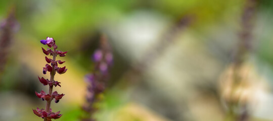 abstract background for web banners with space for text. HD Image and Large Resolution. can be used as wallpaper